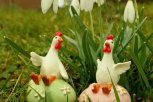 Happy Completion Tree of Life Day Celebration