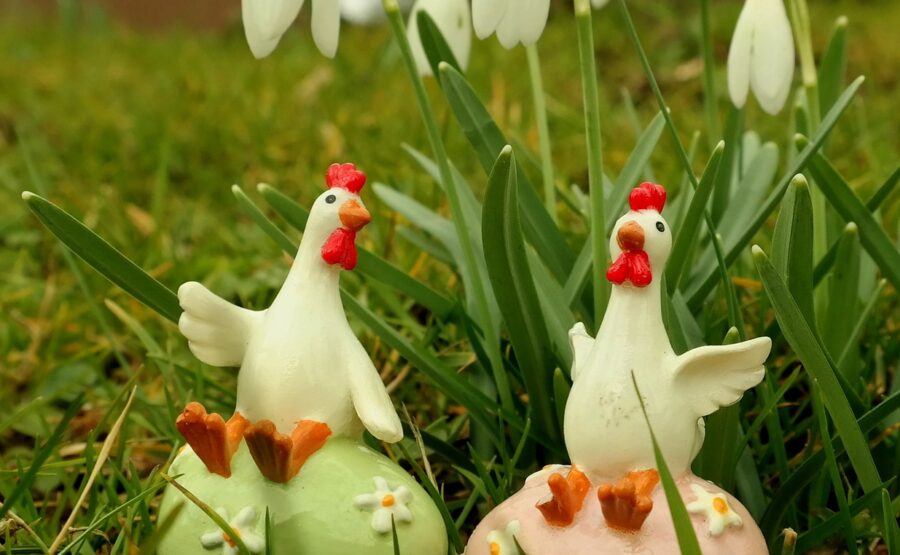 Happy Completion Tree of Life Day Celebration